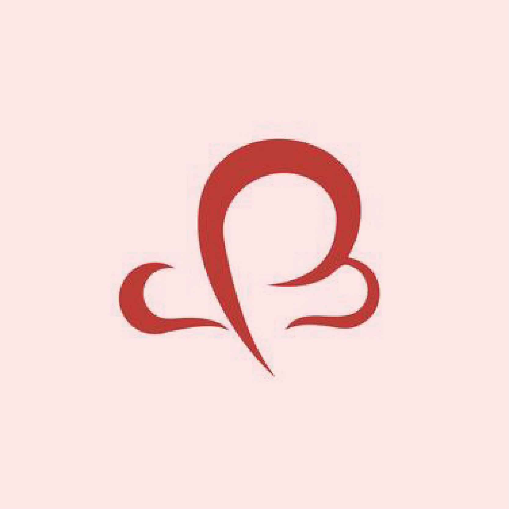 皮小客